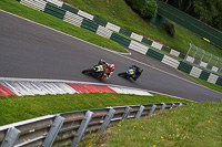 cadwell-no-limits-trackday;cadwell-park;cadwell-park-photographs;cadwell-trackday-photographs;enduro-digital-images;event-digital-images;eventdigitalimages;no-limits-trackdays;peter-wileman-photography;racing-digital-images;trackday-digital-images;trackday-photos